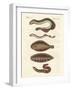 Tasty Fish-null-Framed Giclee Print