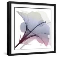 Tasty Grape Hibiscus 2-Albert Koetsier-Framed Art Print