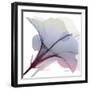 Tasty Grape Hibiscus 2-Albert Koetsier-Framed Art Print