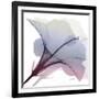 Tasty Grape Hibiscus 2-Albert Koetsier-Framed Art Print