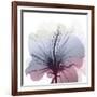 Tasty Grape Hibiscus-Albert Koetsier-Framed Art Print