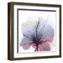 Tasty Grape Hibiscus-Albert Koetsier-Framed Art Print