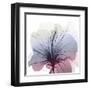 Tasty Grape Hibiscus-Albert Koetsier-Framed Art Print