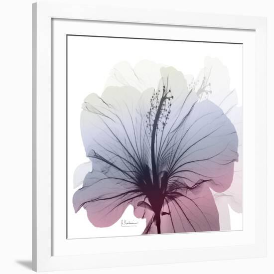 Tasty Grape Hibiscus-Albert Koetsier-Framed Art Print