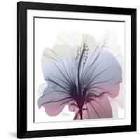 Tasty Grape Hibiscus-Albert Koetsier-Framed Art Print