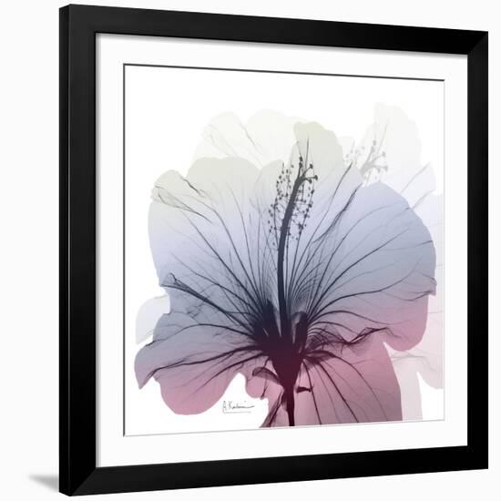 Tasty Grape Hibiscus-Albert Koetsier-Framed Art Print