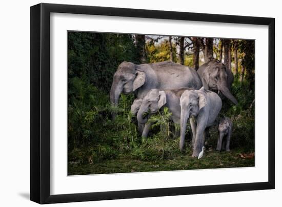 Tasty Leaves-Pavol Stranak-Framed Photographic Print