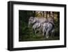 Tasty Leaves-Pavol Stranak-Framed Photographic Print