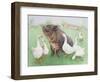 Tasty Morsel-Pat Scott-Framed Giclee Print