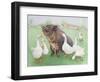 Tasty Morsel-Pat Scott-Framed Giclee Print