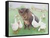 Tasty Morsel-Pat Scott-Framed Stretched Canvas