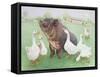 Tasty Morsel-Pat Scott-Framed Stretched Canvas