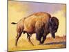 Tatanka-Julie Chapman-Mounted Art Print