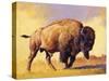 Tatanka-Julie Chapman-Stretched Canvas