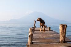 Landscape with a Dog on a Pier by the Lake.-Tati Nova photo Mexico-Photographic Print