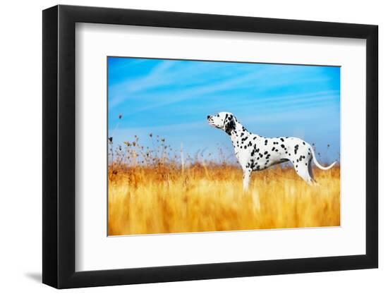 Photographic Print, , large