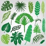 Tropical Palm Leaves,Branches Set.Silhouette,Green-Tatiana_Kost49-Art Print