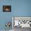 Tatiana Sleeping-Richard Dadd-Framed Stretched Canvas displayed on a wall