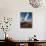 Tatio Geysers, Atacama Desert, El Norte Grande, Chile, South America-Ben Pipe-Photographic Print displayed on a wall