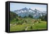 Tatoosh Range and Skyline Trail, Mount Rainier National Park, Washington State-Alan Majchrowicz-Framed Stretched Canvas