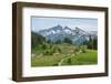 Tatoosh Range and Skyline Trail, Mount Rainier National Park, Washington State-Alan Majchrowicz-Framed Photographic Print