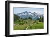 Tatoosh Range and Skyline Trail, Mount Rainier National Park, Washington State-Alan Majchrowicz-Framed Photographic Print