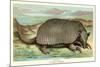 Tatou Armadillo-null-Mounted Premium Giclee Print