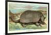 Tatou Armadillo-null-Framed Art Print