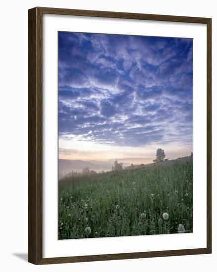 Tatra Mountains, Poland-Peter Adams-Framed Photographic Print