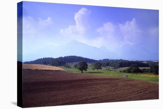 Tatra Mountains-Charles Bowman-Stretched Canvas