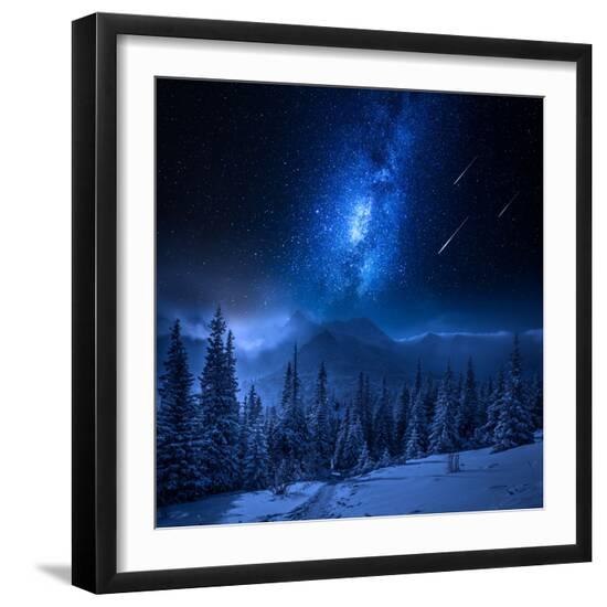 Photographic Print, , large