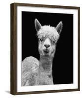 Tatsi-Bill Philip-Framed Giclee Print