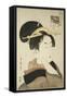 Tatsumi Roko, from the Series Renowned Beauties Likened to the Six Immortal Poets, C.1794-96-Kitagawa Utamaro-Framed Stretched Canvas