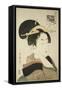 Tatsumi Roko, from the Series Renowned Beauties Likened to the Six Immortal Poets, C.1794-96-Kitagawa Utamaro-Framed Stretched Canvas