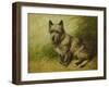 Tatters-John Emms-Framed Giclee Print