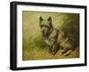 Tatters-John Emms-Framed Giclee Print