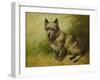 Tatters-John Emms-Framed Giclee Print