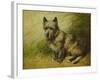 Tatters-John Emms-Framed Giclee Print