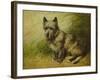 Tatters-John Emms-Framed Giclee Print