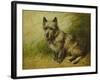 Tatters-John Emms-Framed Giclee Print