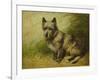 Tatters-John Emms-Framed Giclee Print