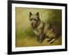 Tatters-John Emms-Framed Giclee Print