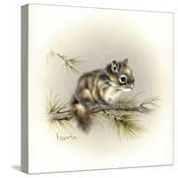 Tattle-Tail Baby-Peggy Harris-Stretched Canvas