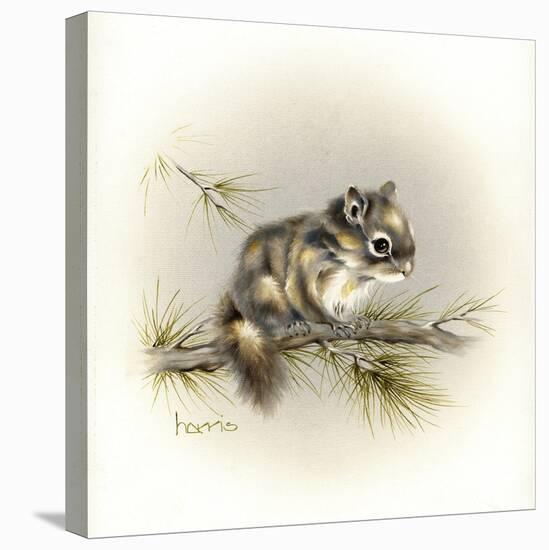 Tattle-Tail Baby-Peggy Harris-Stretched Canvas