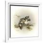 Tattle-Tail Baby-Peggy Harris-Framed Giclee Print