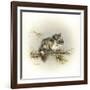 Tattle-Tail Baby-Peggy Harris-Framed Giclee Print