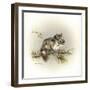 Tattle-Tail Baby-Peggy Harris-Framed Giclee Print