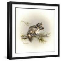 Tattle-Tail Baby-Peggy Harris-Framed Giclee Print