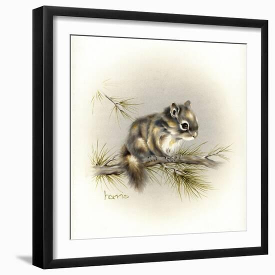 Tattle-Tail Baby-Peggy Harris-Framed Giclee Print