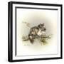 Tattle-Tail Baby-Peggy Harris-Framed Giclee Print